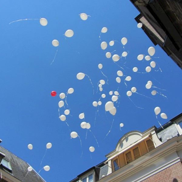 Dezelfde bioscoop Beschrijvend Helium ballonnen | Bonanza Verhuur